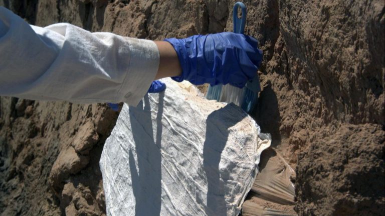 Kayalıpınar kazılarında 3.900 yıl öncesine ait el yazma ve sıvama izlerine rastlandı.