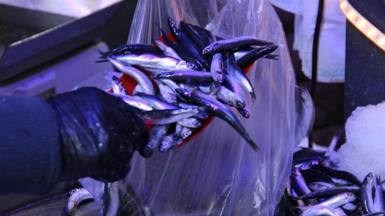 Fiyat 40 TL'ye düşerken vatandaşlar metrelerce kuyruk oluşturdu. Çocuklarımızla birlikte yiyeceğiz.